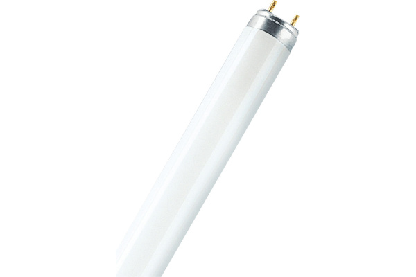 Лампа люминесцентная L 18W/840 LUMILUX 18Вт T8 4000К G13 смол. OSRAM