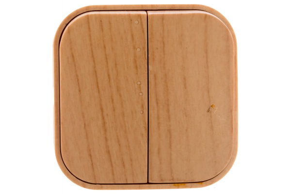 Выключатель IONICH двухклавишный, о/у, 10А, еврослот, СОСНА 1436