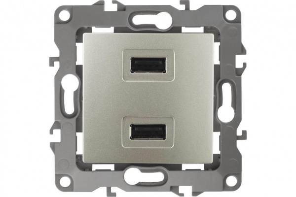 Розетка Шампань 1П USB+USB 2100мА СУ Эра12