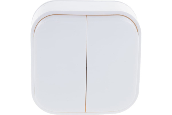 Выключатель IONICH двухклавишный, о/у, 10А, еврослот, белый 1413