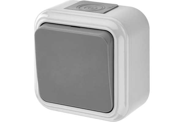 Выключатель 1кл о/п А16-222 ПРАЛЕСКА АКВА серый IP54 (48)