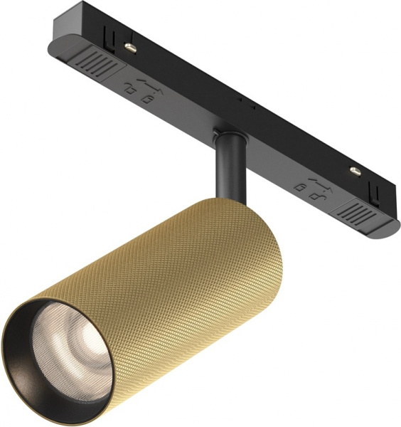 Трековый светильник Maytoni Technical TR097-2-12W4K-M-BMG